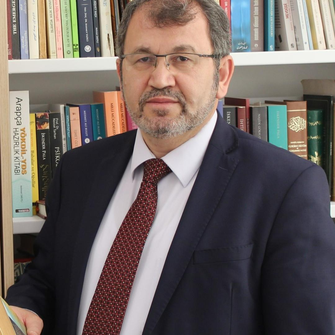 Abdulhamit Birışık, Prof. Dr.